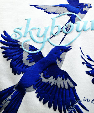 SKY WHITE